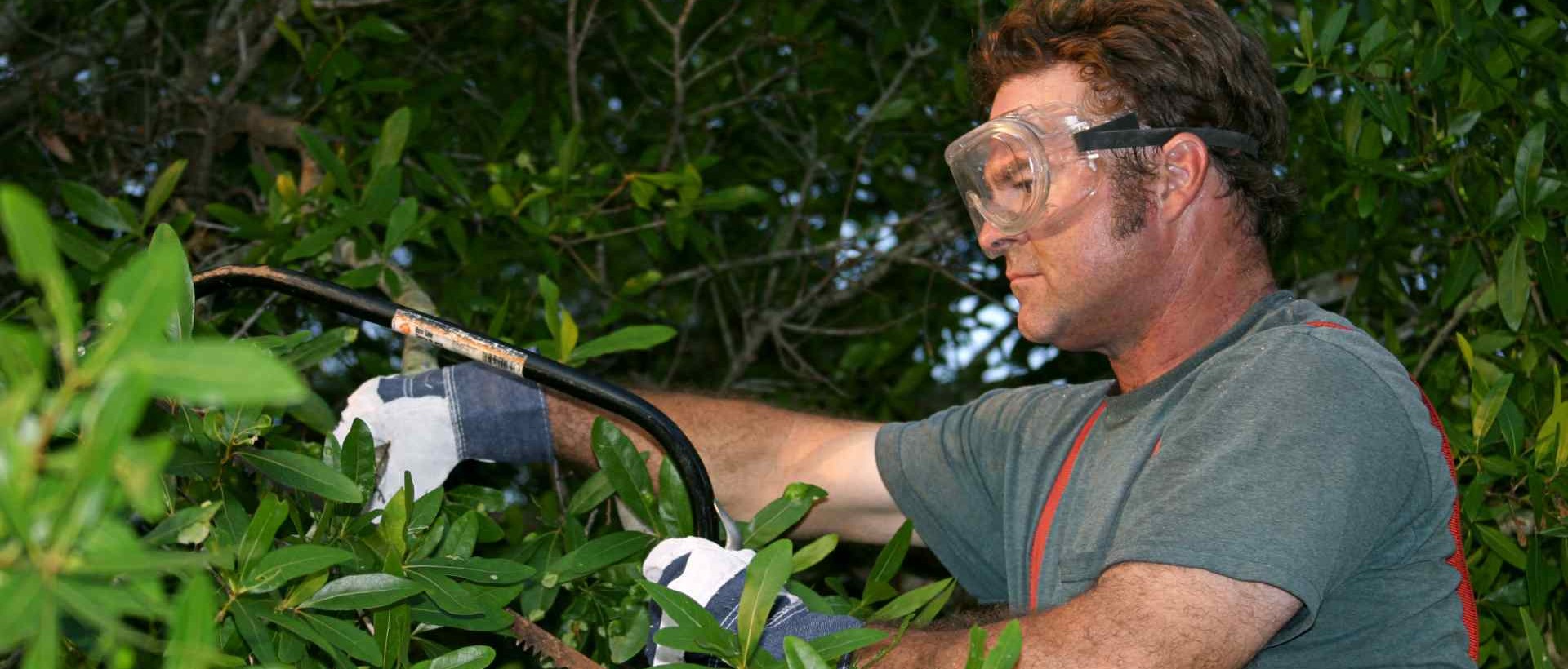 garden clearance HA1